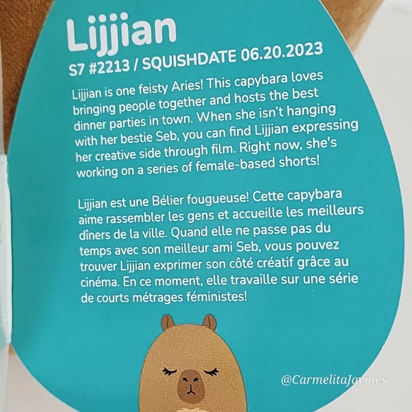 LIJJIAN 🐻 Brown 8" Capybara Original Squishmallow ☆ NWT ☆ - Picture 4 of 7
